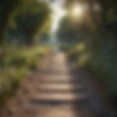 Pathway to Emotional Healing Pathway representing emotional healing