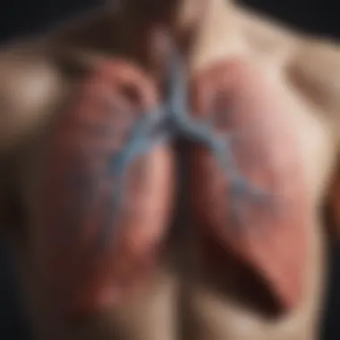 Lung anatomy illustrating recovery