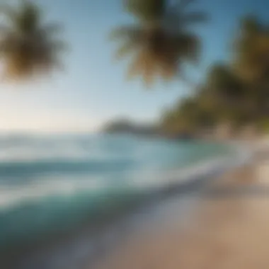 Tranquility Amidst Chaos A serene beach with crystal clear blue waters and palm trees
