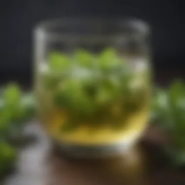 Herbal remedy for anxiety - Soothing Lemon Balm