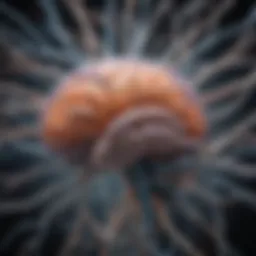 Illustration depicting the intricate mechanism of action of SSRIs in the brain