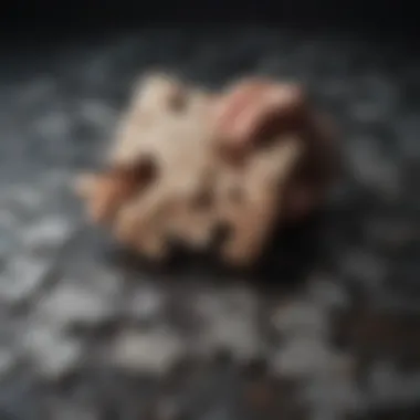 Abstract representation of personality traits forming a unique puzzle