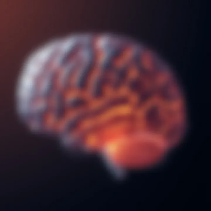 Brain Response to Alcohol Consumption Over Time Illustration showcasing the brain's response to alcohol over time