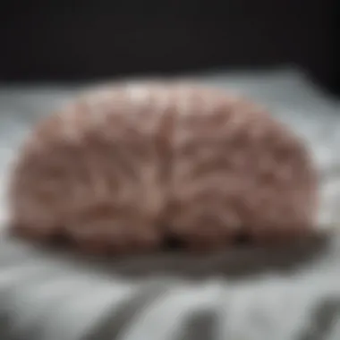 Brain Activity: Sleep vs. Wakefulness A visual representation of brain activity during sleep and wakefulness.