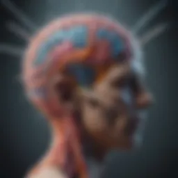 Neuroscience illustration depicting sugar's effect on brain activity