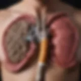 A detailed diagram showcasing the effects of smoking on various organs.