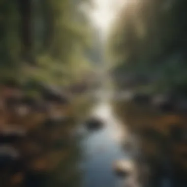 Tranquil Nature Scene Evoking Mindfulness Serene landscape promoting tranquility
