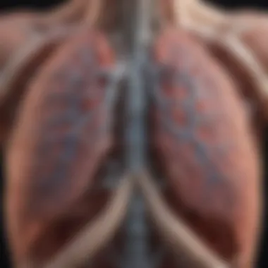 Illustration of lung repair mechanisms Physiological changes in the lungs