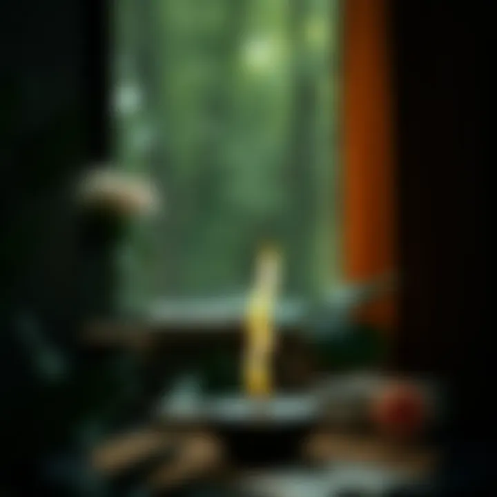 The Meditation Station Podcast: A Resource for Mental Health and Inner Balance Summary