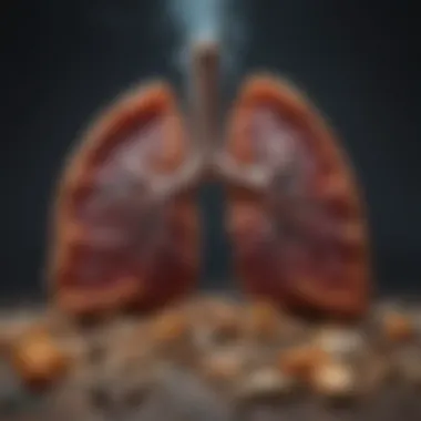 Visual representation of nutrient impact on lung health