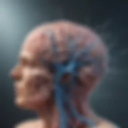 Illustration depicting the brain's neurotransmitter pathways affected by Wellbutrin