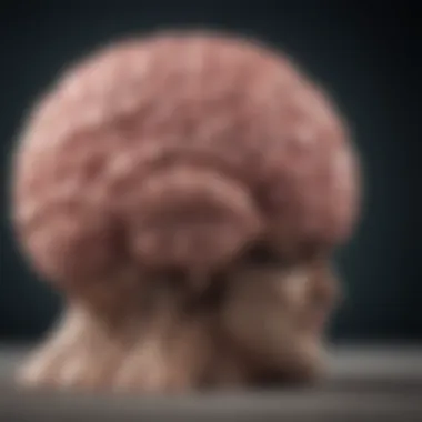 Brain Waves: The Science of Relaxation Hypnotherapy Visualization of brain waves during hypnotherapy
