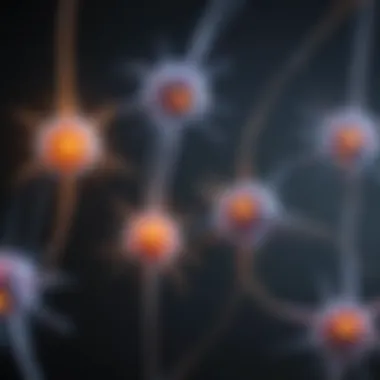 Diagram illustrating the phases of action potentials in neurons