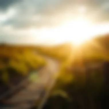 A serene setting symbolizing hope and recovery