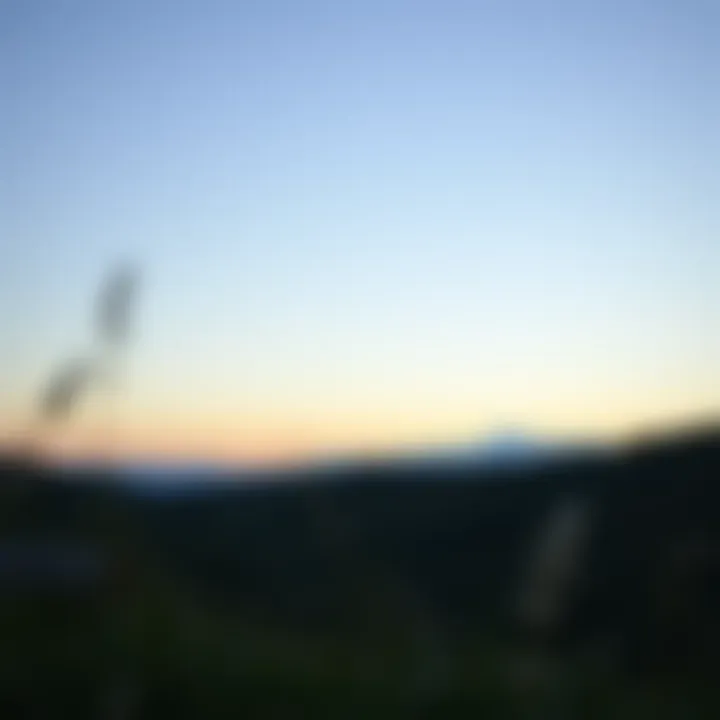 Symbol of Resilience and Emotional Strength A serene landscape symbolizing resilience and emotional strength.