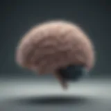 Illustration depicting the brain's activity during an anxiety attack