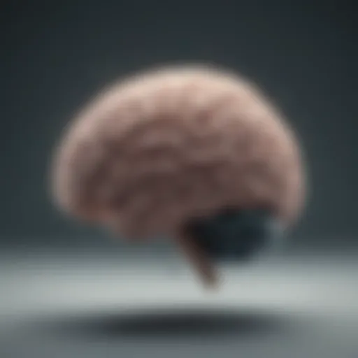 Illustration depicting the brain's activity during an anxiety attack