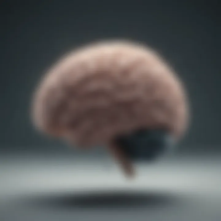 Illustration depicting the brain's activity during an anxiety attack