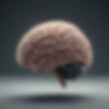 Brain Activity During Anxiety Attacks Illustration depicting the brain's activity during an anxiety attack