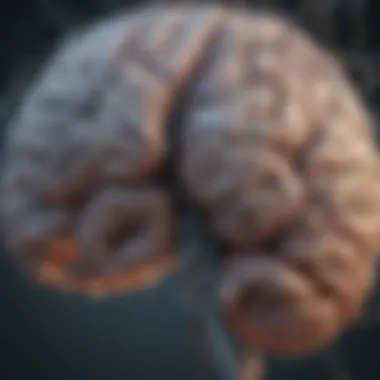 Neural Connections and Mental Health A close-up of a brain illustrating neural connections and mental health.