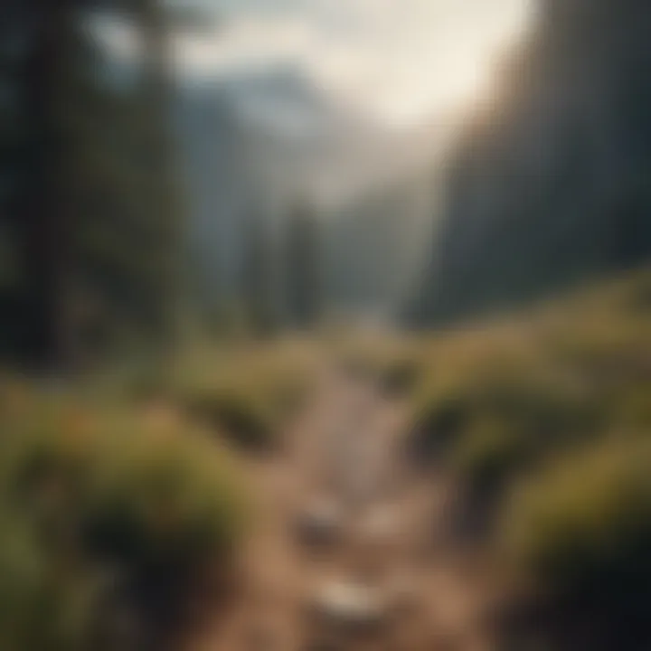 A serene landscape symbolizing the journey toward healing and self-discovery.