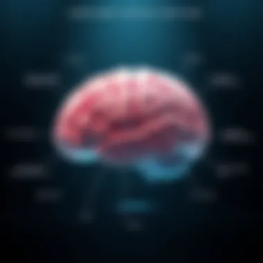 Illustration depicting the cerebral cortex and its functions.