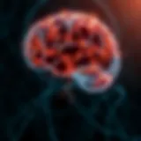 Neural Pathways of Emotion A brain's neural pathways illuminated, symbolizing emotional connections.