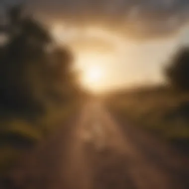 Journey Towards Hope and Healing A path leading towards the light, representing the journey to recovery