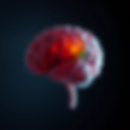 Illustration of a brain highlighting emotions related to gender identity