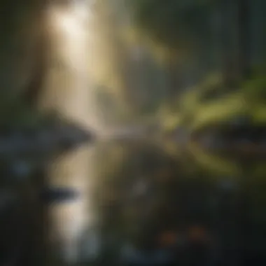Tranquil Nature Scene A serene nature scene representing stress relief