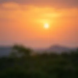 A serene landscape symbolizing mental peace and tranquility.