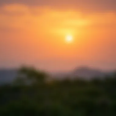 Serenity in Mental Health A serene landscape symbolizing mental peace and tranquility.
