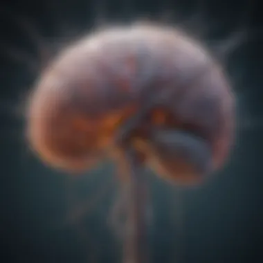 Neurons and Their Influence on Mental Well-Being Graphic illustrating the connection between neurons and mental health