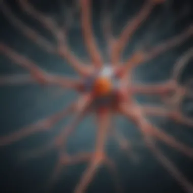 The Complex Structure of Neurons Illustration depicting the structure of a neuron showcasing its components