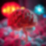 Illustration depicting the brain's reaction to sugar cravings at night