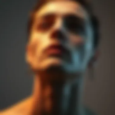 Conceptualizing Omnisexuality A visual representation of the concept of omnisexuality