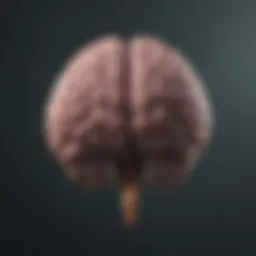 Illustration depicting the brain's response during a panic attack
