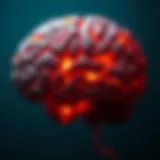 A representation of the brain with highlighted areas related to anxiety and panic responses.