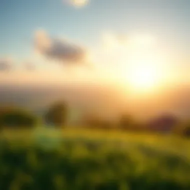 Coping Strategies for Panic Disorder A serene landscape symbolizing calmness and coping with anxiety.