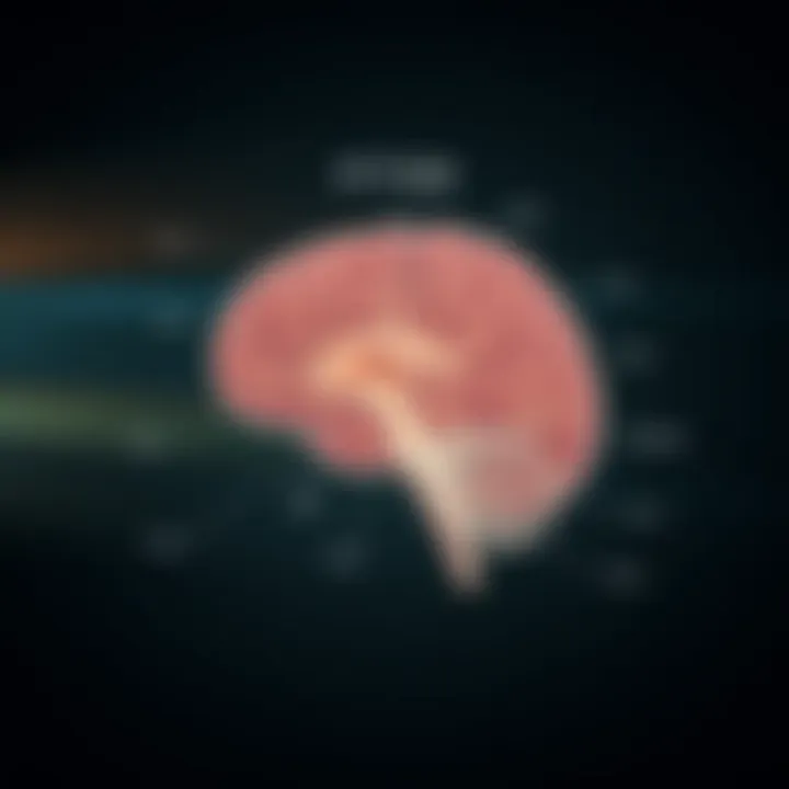 Physiological Mechanisms of PTSD Diagram illustrating physiological mechanisms involved in PTSD