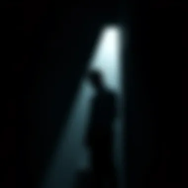 Symbol of Secrecy A shadowy figure symbolizing secrecy and hidden actions