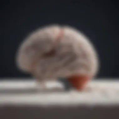 The Brain's Role in Sleep Regulation Close-up of a brain showing neural activity related to sleep.
