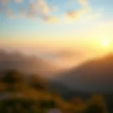 A serene landscape representing tranquility amidst chaos