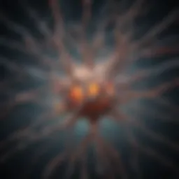 Brain highlighting serotonin pathways