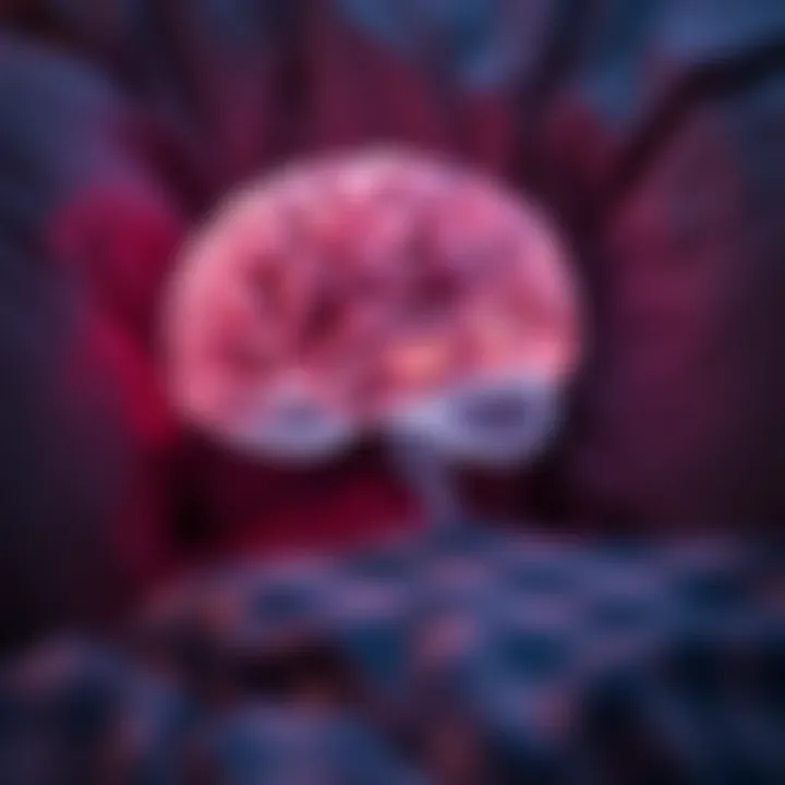 Brain Functionality in Sleep Illustration of brain activity during sleep