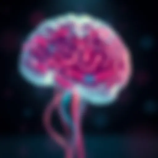 Visual representation of anxiety in the brain
