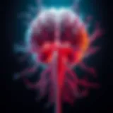 Anatomy of the central nervous system