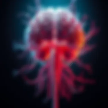 Exploring the Central Nervous System Anatomy of the central nervous system