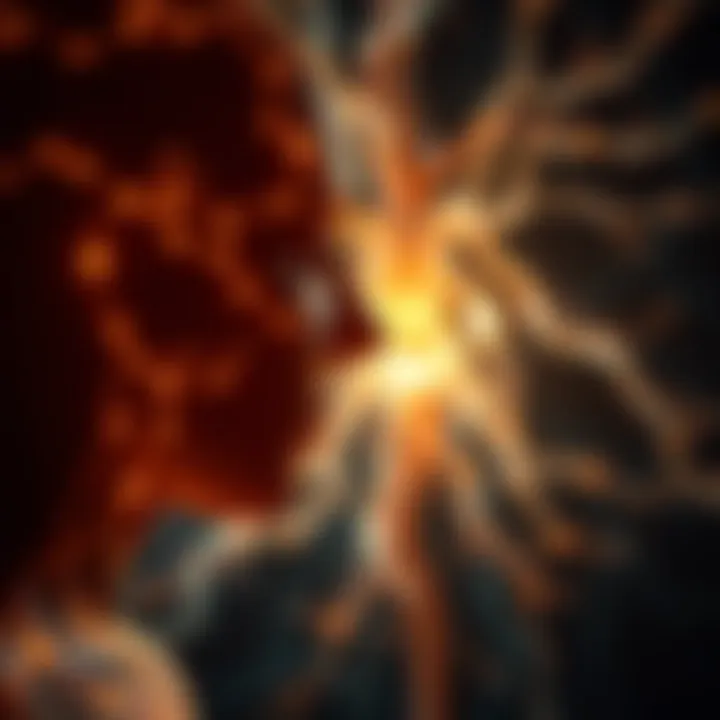 Nervous System Health and Emotional Equilibrium Impact of nervous system health on emotional balance