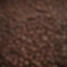A close-up view of coffee beans showcasing their rich texture and color.